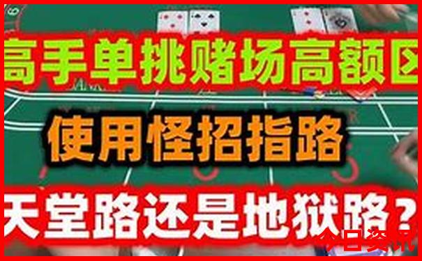 夏天适合去哈尔滨旅游吗